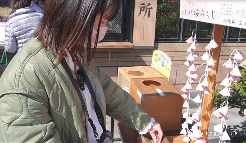 女孩正在抽櫻神宮的御神籤